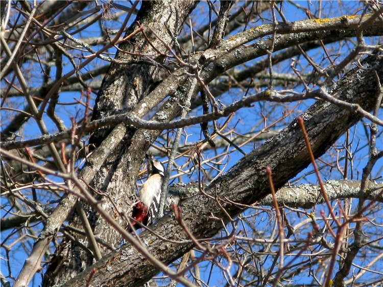 Апрельский день в Василёво, заключительная часть