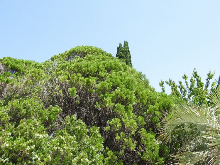 Краснодарский Край, Сочи-Адлер, Санаторий «Южное Взморье»