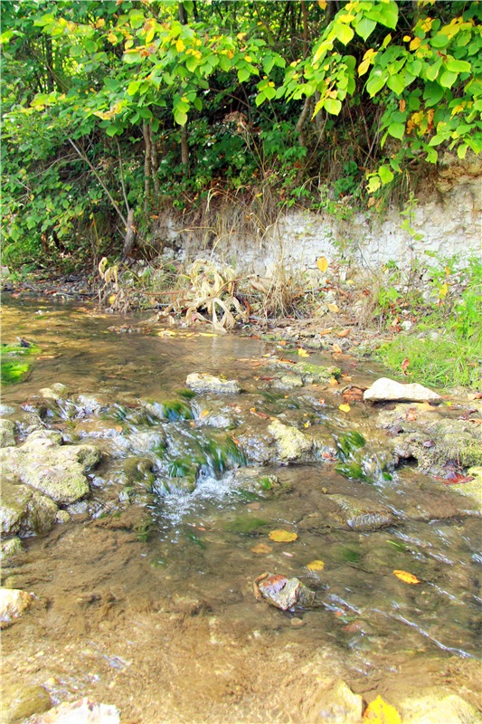 Старицкая Швейцария. Путешествие с Сашей, продолжение. Уникальная кукла от Сильвии Наттерер