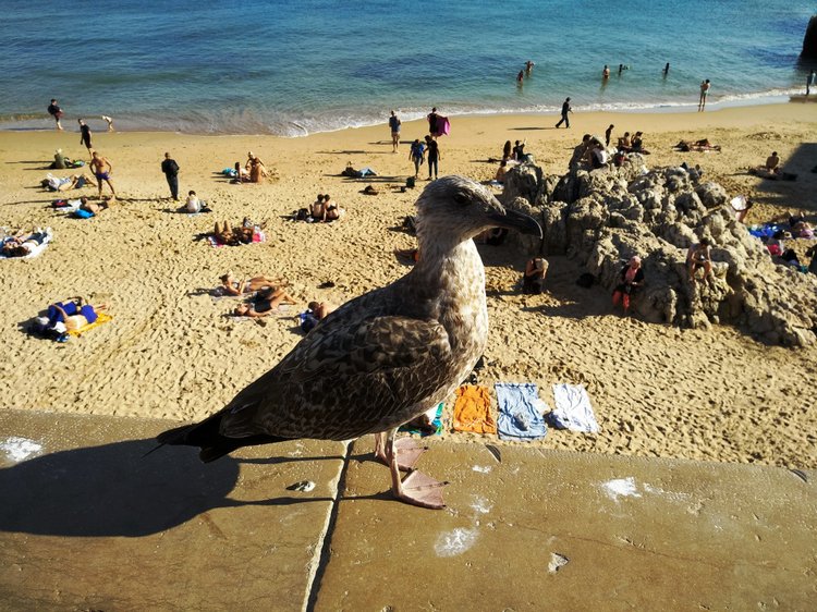 Тайна моего имени. Часть 11. Португалия, Мыс Рока. Там, где кончается земля, и начинается море