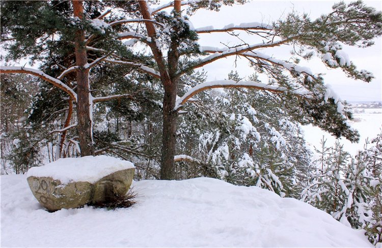 Рождественские гуляния, часть вторая. Zwergnase Mischa (фото 8)