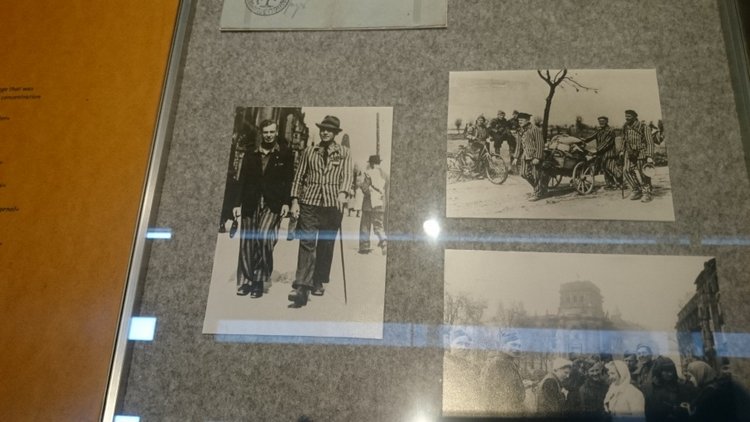 Спасибо Вам за смелость и отвагу, за небо мирное над головой