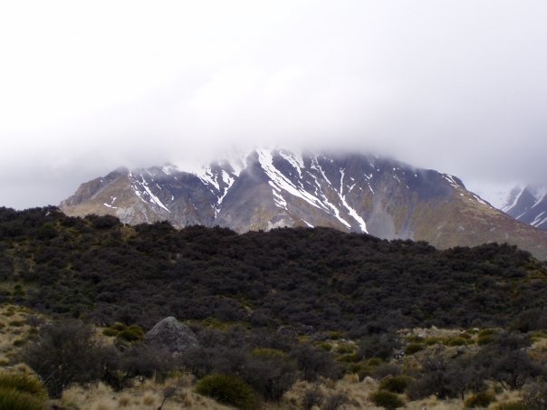 Увлекательное путешествие по Новой Зеландии