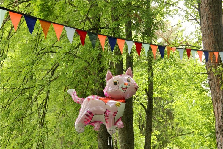 "Троицкие гуляния" в Василёво, 2017 год, продолжение. Архитектурно-этнографический музей под открытым небом "Василёво"