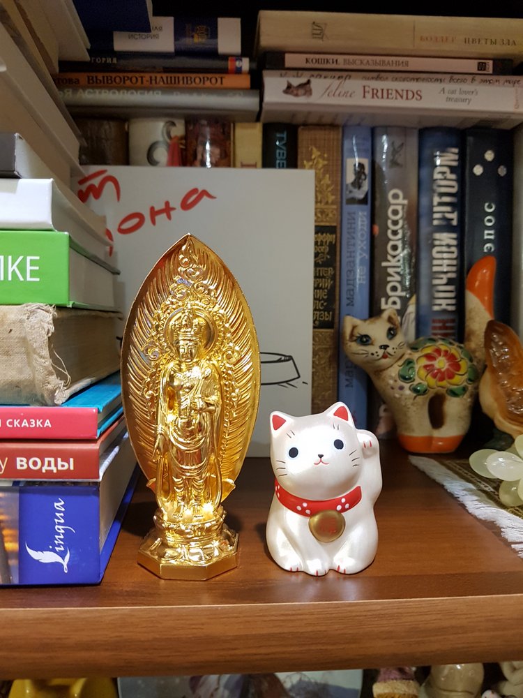 Шкаф в мою личную Нарнию | Бэйбики Шкаф в мою личную Нарнию — Болталка и разговоры обо всем: жизнь (фото 4)