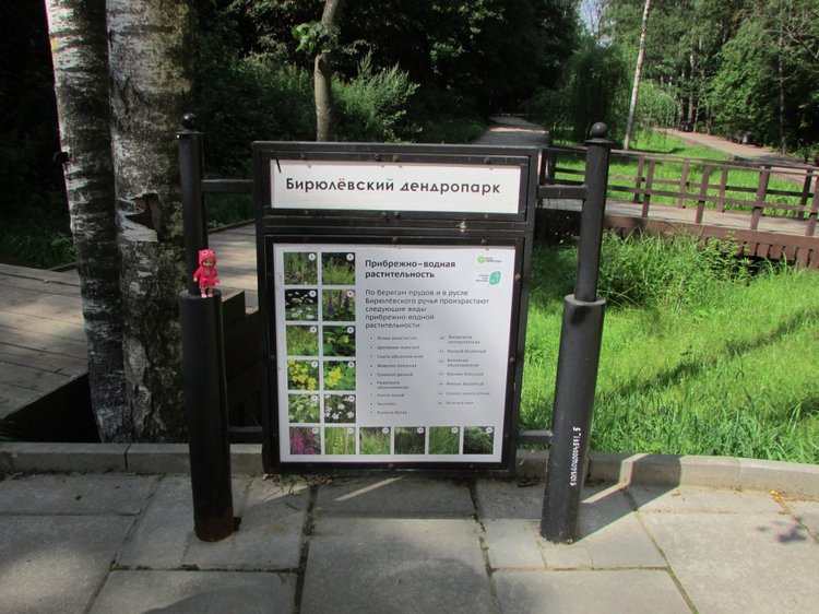 Малышня на прогулке в Бирюлёвском дендропарке