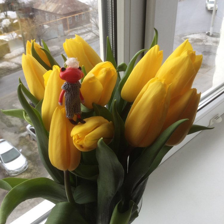 Маленькие лягушата Wonder Frog и цветы (фото 7)