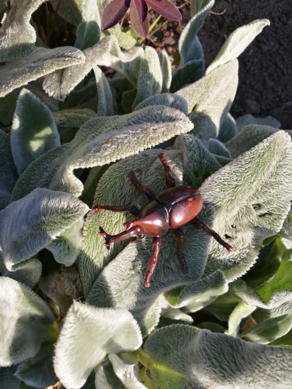 Любимые фигурки — Интересные игрушки и фигурки (разное): редкие