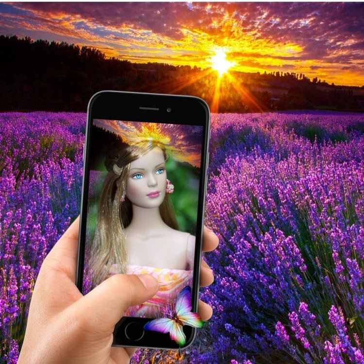 Мои Тоннерки. Фотозарисовки