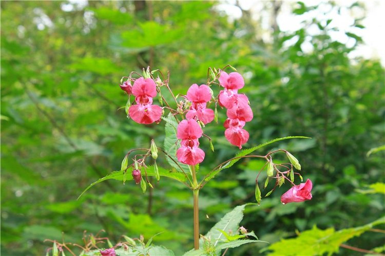 Сентябрьское путешествие в Старицу, четвёртая часть