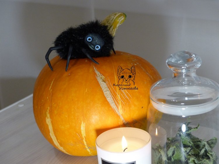 Halloween и маленькие паучки