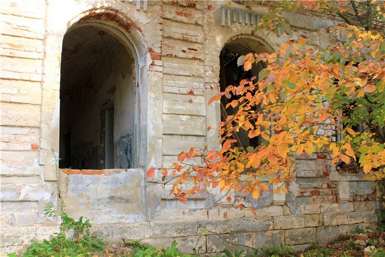 Путешествие Dal Hangry в Грузины