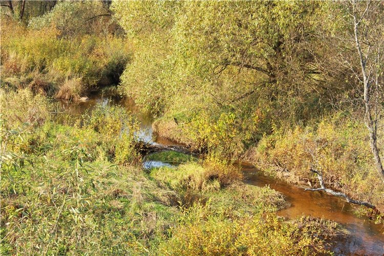 Путешествие Dal Hangry в Грузины, продолжение