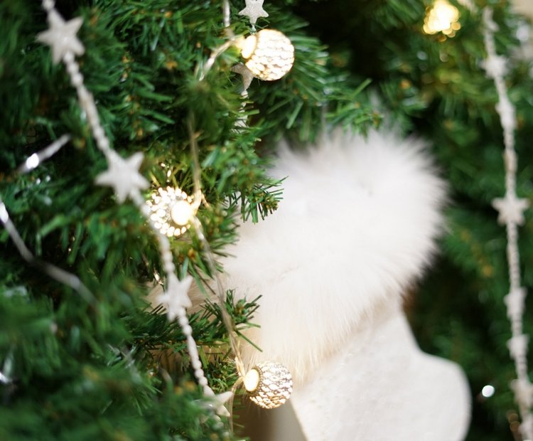 Новогодний сапожок — Другие хобби и увлечения: сад