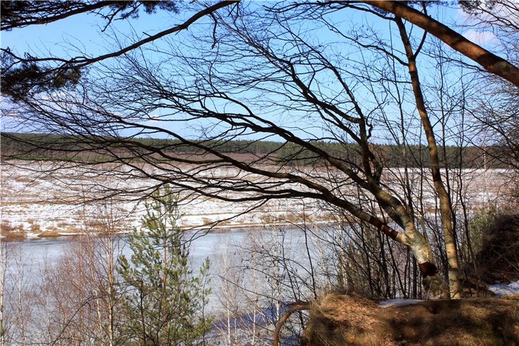 Весна в "Саду Камней" | Бэйбики Весна в "Саду Камней" — Куклы Meadow dolls (Медовушки): BJD (БЖД)