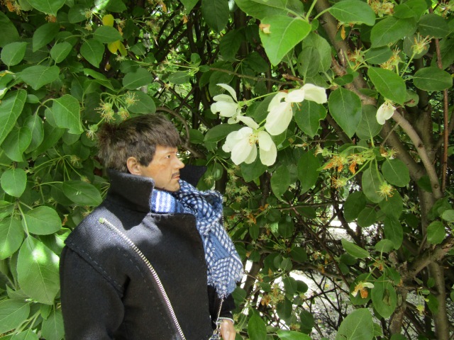 Тони Старк: приключения без брони. Был месяц май, снова | Бэйбики Тони Старк: приключения без брони. Был месяц май, снова