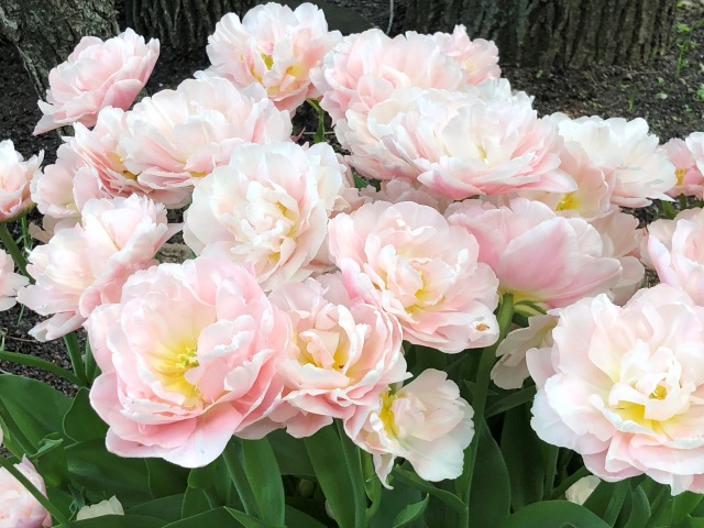 Тони Старк: приключения без брони. Был месяц май, половина вторая