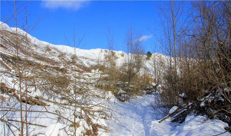Зимняя прогулка Сони. Уникальная кукла от Сильвии Наттерер