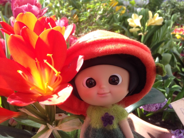 Яркие весенние краски и позитивный Mui-chan