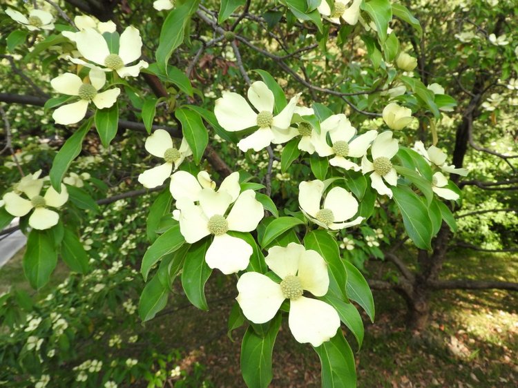 Краснодарский Край, Сочи-Адлер, Санаторий «Южное Взморье»