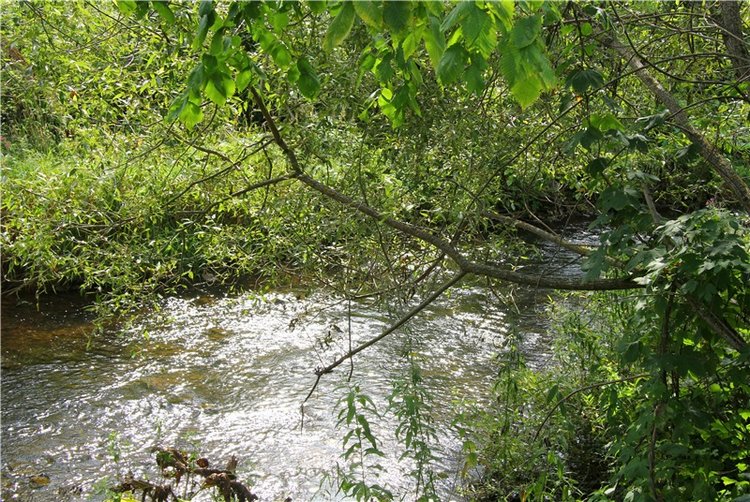 Старицкая Швейцария. Путешествие с Сашей, продолжение. Уникальная кукла от Сильвии Наттерер