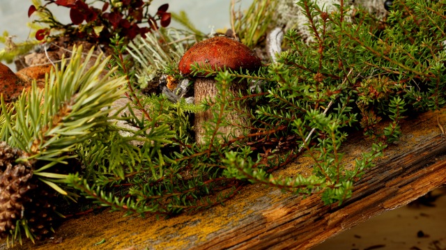 Осенний натюрморт — Другие хобби и увлечения: сад