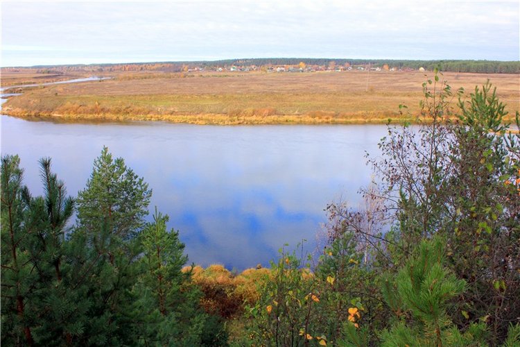 Ромашковый октябрь. Zwergnase Mischa (фото 3)