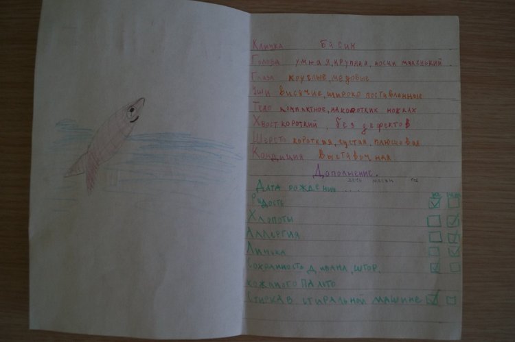 Как Агаша Басика сшила — Кот Басик