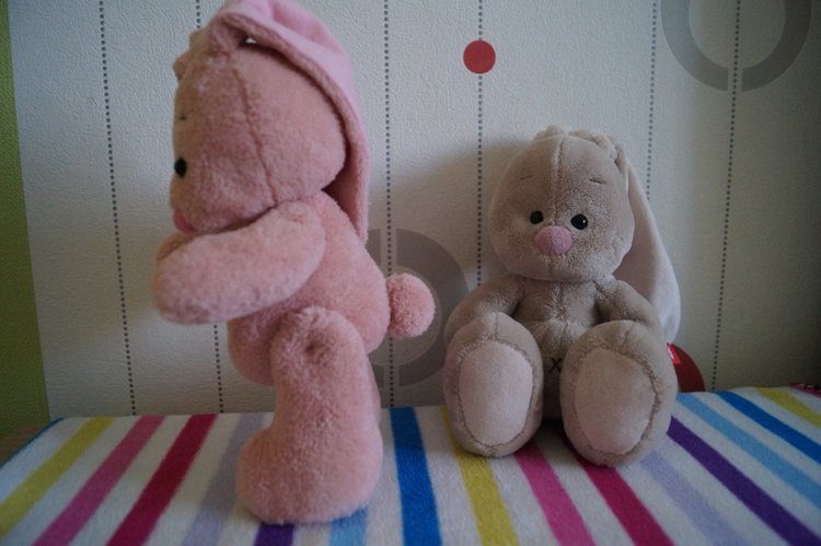 Как Агаша зайку шила — Другие хобби и увлечения: сад