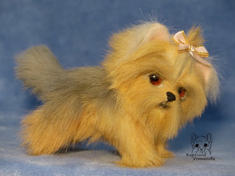 Щенок Йоркширского терьера (фото 2)