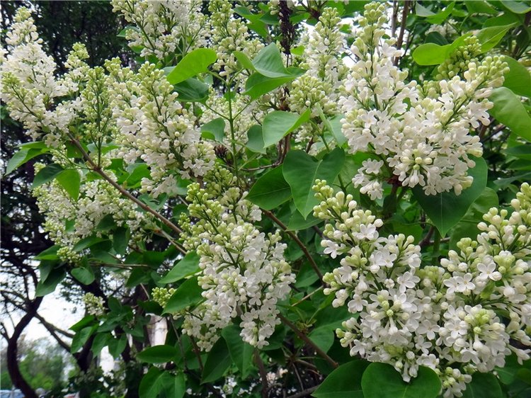 Милый мой город. Прогулка по Твери, продолжение