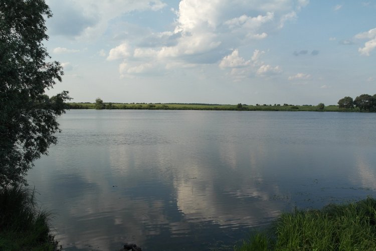 Есенинские тропинки — Куклы Kidz'n'Cats (Соня Хартман): шарнирные 46 см