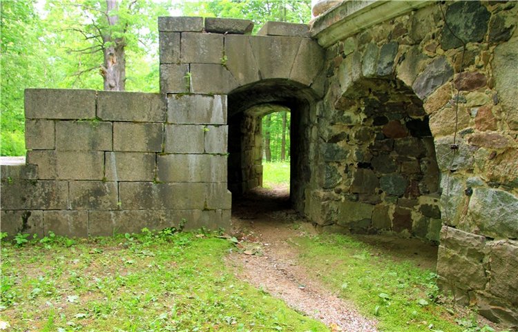 Путешествие с Бенни — Культура