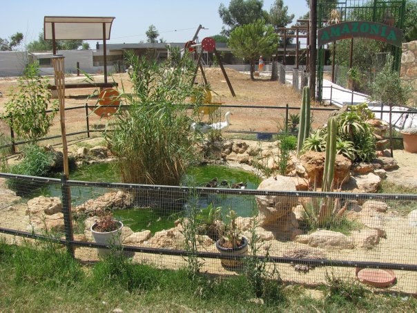 Путешествие на о. Кипр — Туризм и путешествия: фотоотчеты из поездок