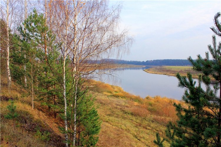 Гришутка — Винтажные куклы ГДР (Немки): Бигги