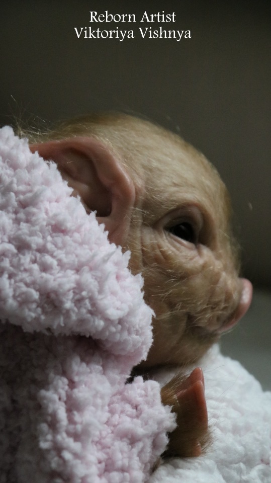 Поросенок Мила... куколка реборн Виктории Вишни