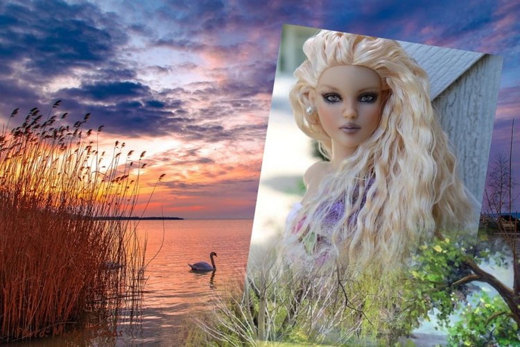 Мои Тоннерки. Фотозарисовки