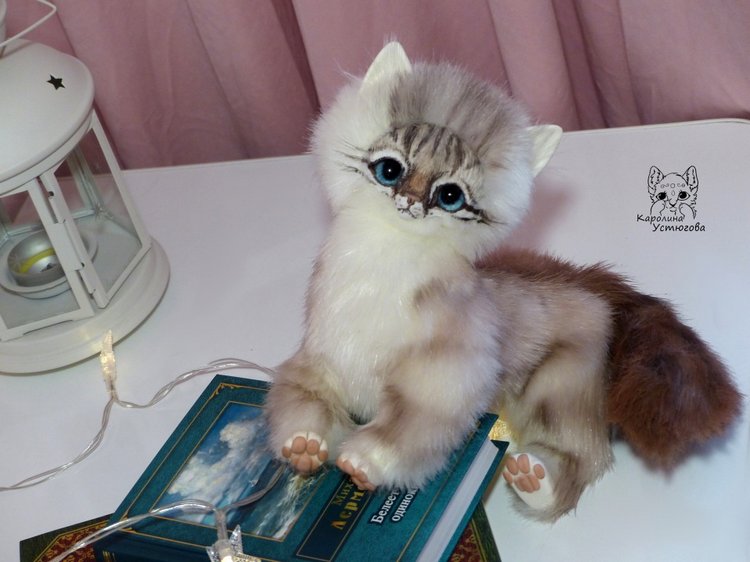 Котенок породы : Невский Маскарадный, окрас сил тэбби пойнт (фото 9)