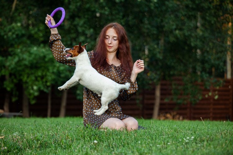 В гостях у STEPHA dolls! Biggers, Миниамигес, Вестида де Азул