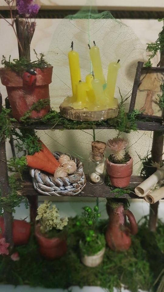 Hadasycasitas - Волшебный мир Патриции - ч.2 (фото 9)