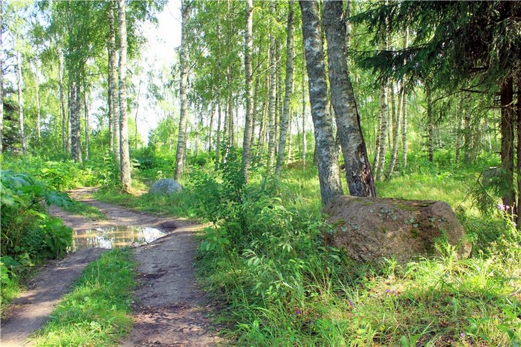 Августовское путешествие в "Сад Камней" | Бэйбики Августовское путешествие в "Сад Камней"