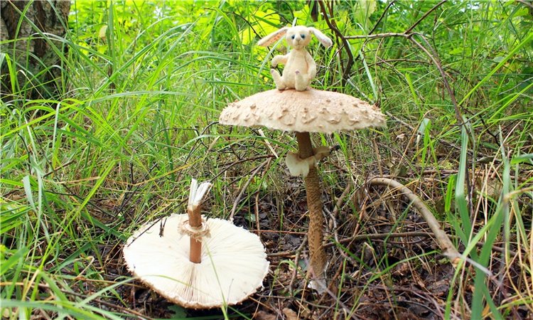 Августовское путешествие в "Сад Камней" | Бэйбики Августовское путешествие в "Сад Камней"