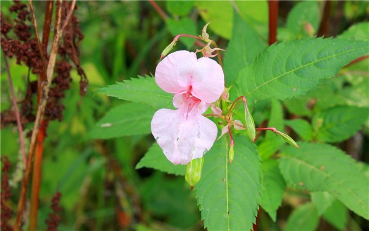 Сентябрьское путешествие в Старицу, четвёртая часть