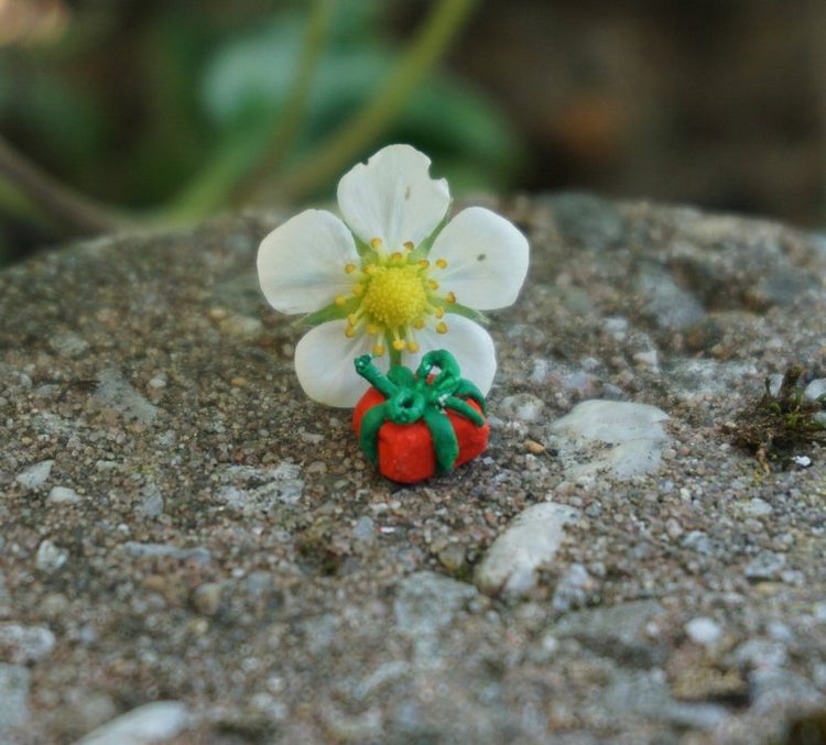 TinyLittleMiniatures - Авторские миниатюрные глиняные фигурки by Milia