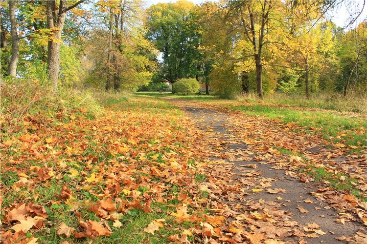 Путешествие Dal Hangry в Грузины, продолжение
