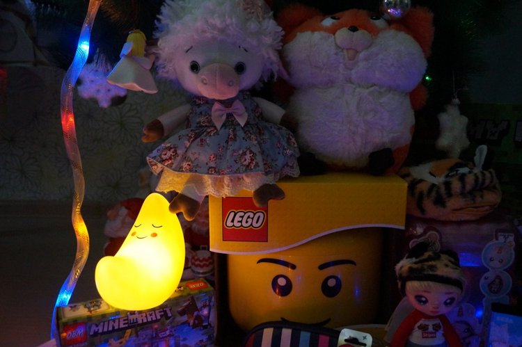 Настало время показать новогодние подарки (фото 4)