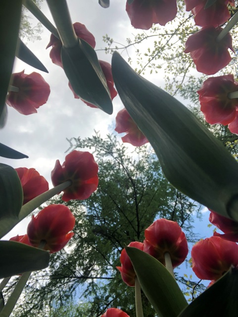 Тони Старк: приключения без брони. Был месяц май, половина вторая