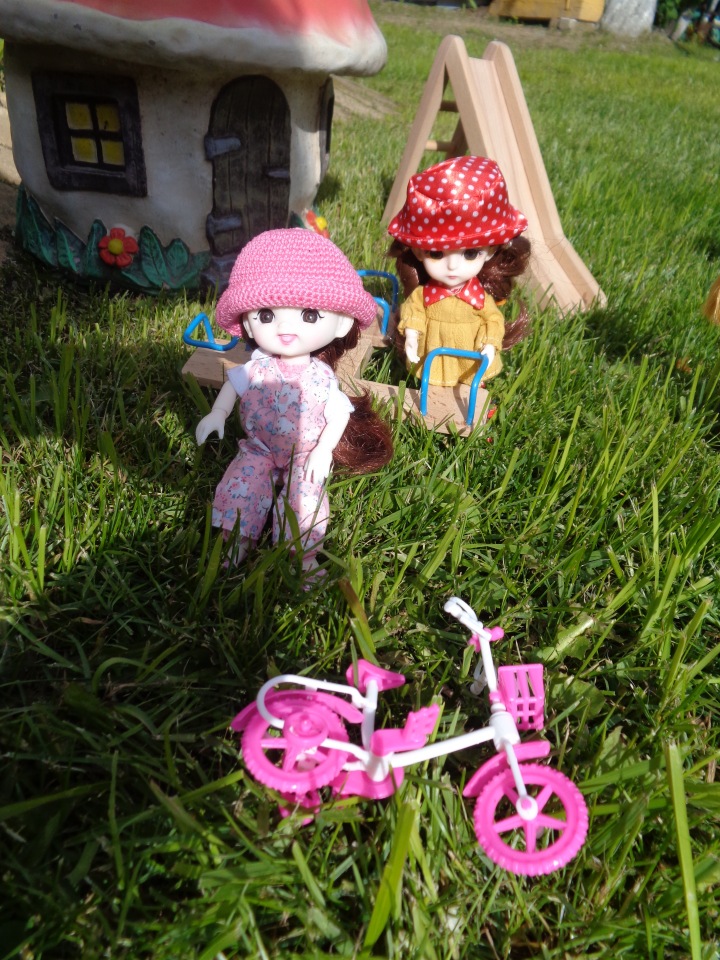 Любимки в деревне — Куклы Baboliy (Баболи