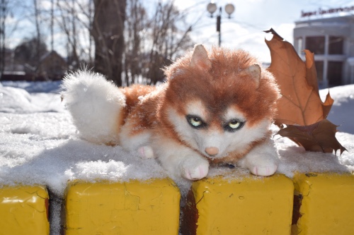 Милый... милый Хатико — Домашние фото авторских игрушек: Тедди (фото 5)