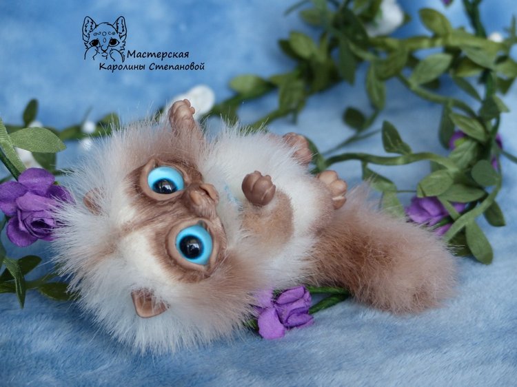 Сиамский котенок, пушистик, миниатюра (фото 3)